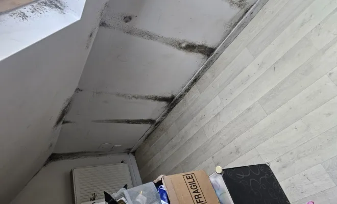 Travaux de peinture , Cambrai, FW DECO