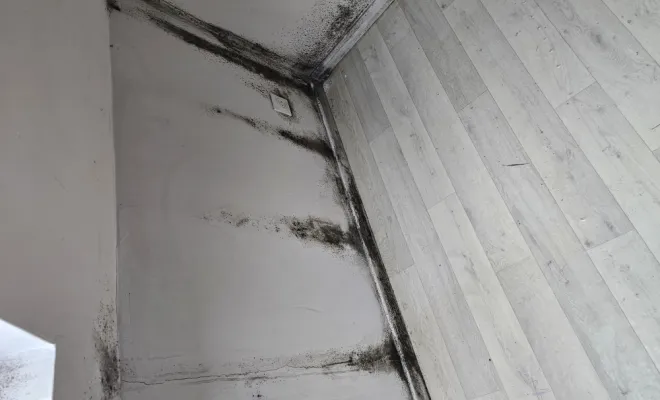 Travaux de peinture , Cambrai, FW DECO